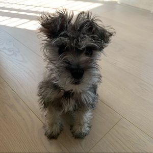 Meet your Posher, Yoosung